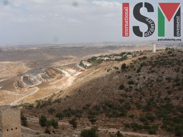 The illegal Israeli settlement of Nili overlooking village land. 