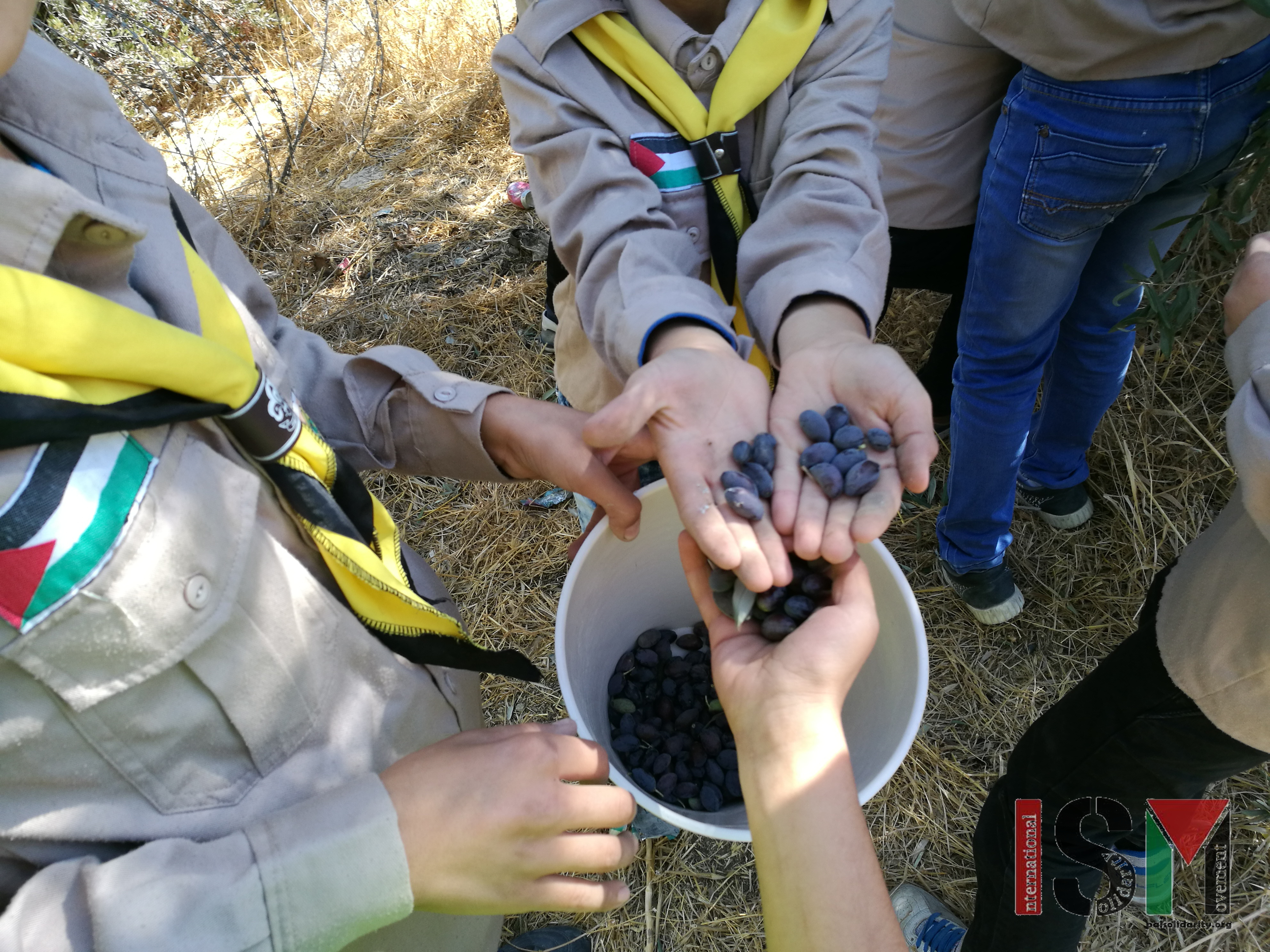 Settler attacks school-children and orders soldier to assist her