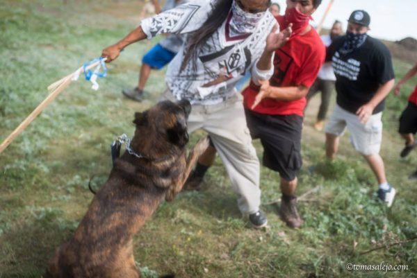 Water Protectors attacked by DAPL security police