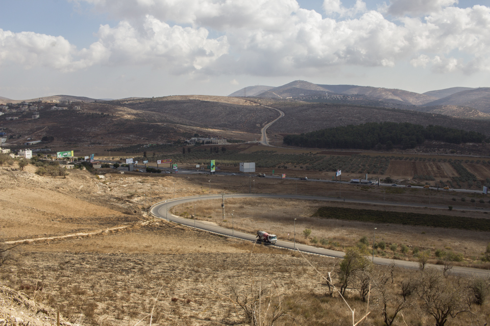 Olive harvest in Kafr Qalil and protective presence