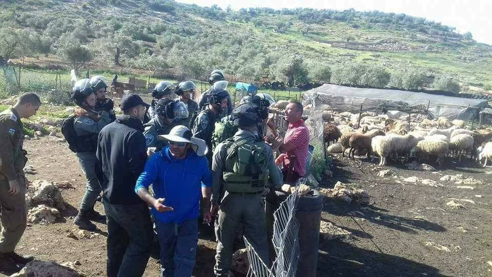 Israeli forces demolish Palestinian farm in Abu al-Ra’eesh, west of Salfit