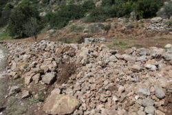 Wadi Qana’s Palestinian farmers endure another mass tree uprooting