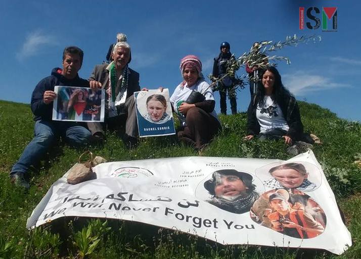 Palestinian and International activists plant olive saplings on village land ordered for confiscation by Israel in Burin