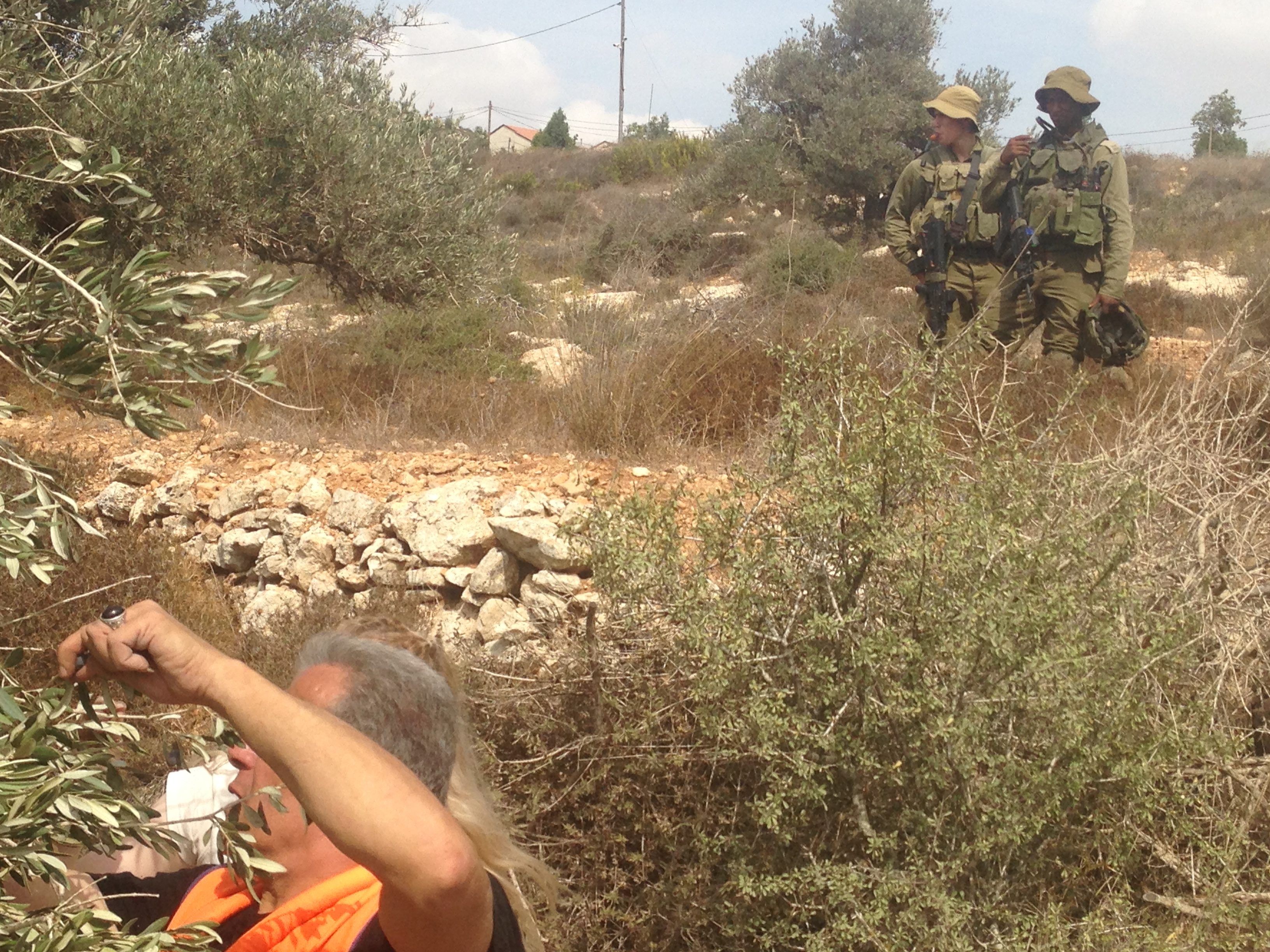 Video: Israeli soldiers, police harass olive pickers in As-Sawiya village