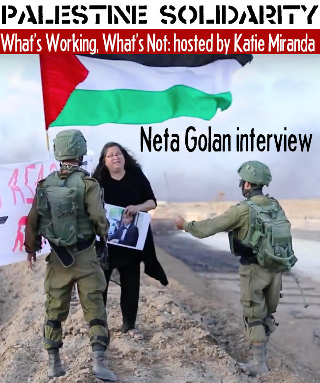 Palestine: What’s Working, What’s Not