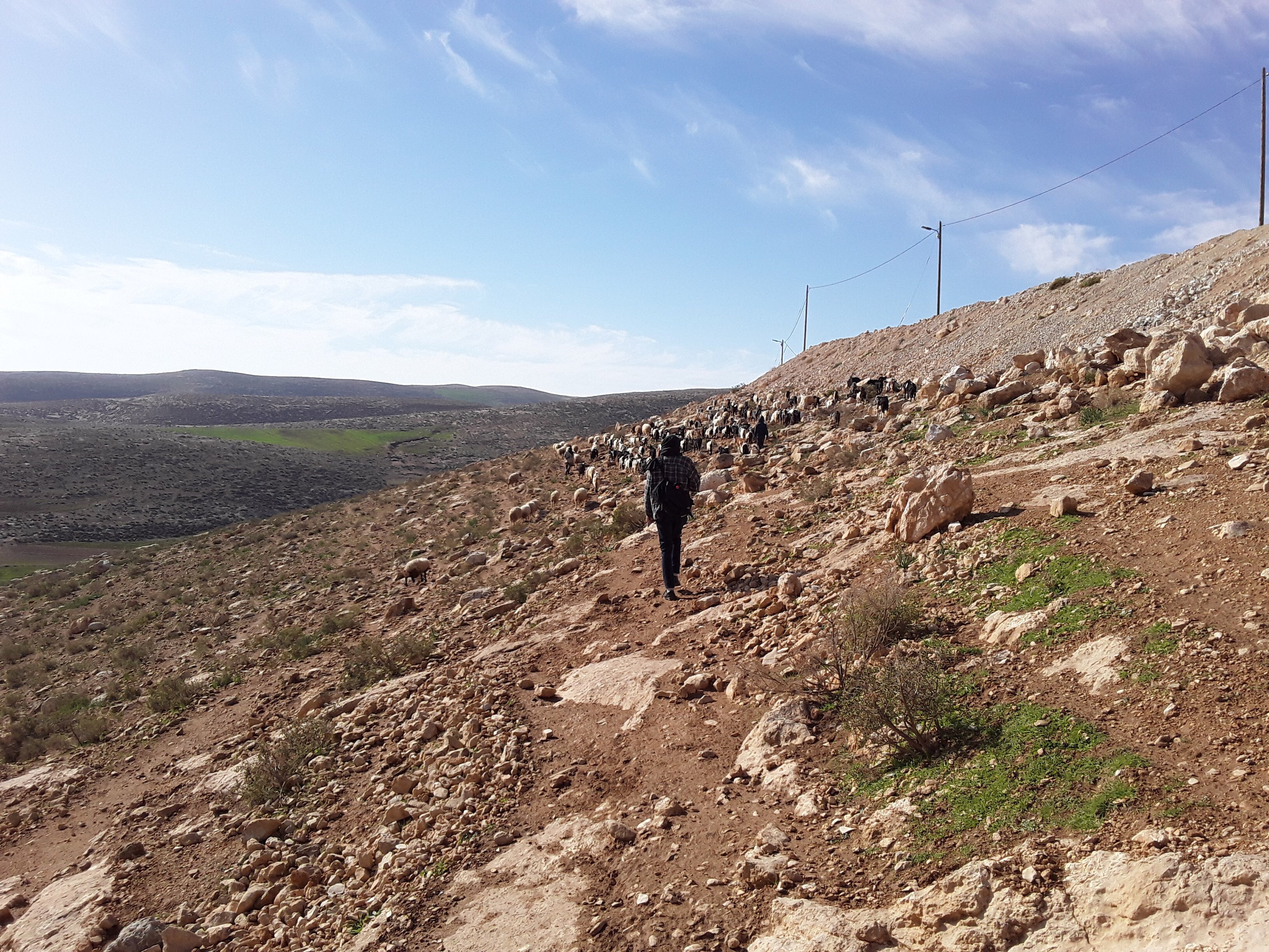 Resistance in the South Hebron Hills