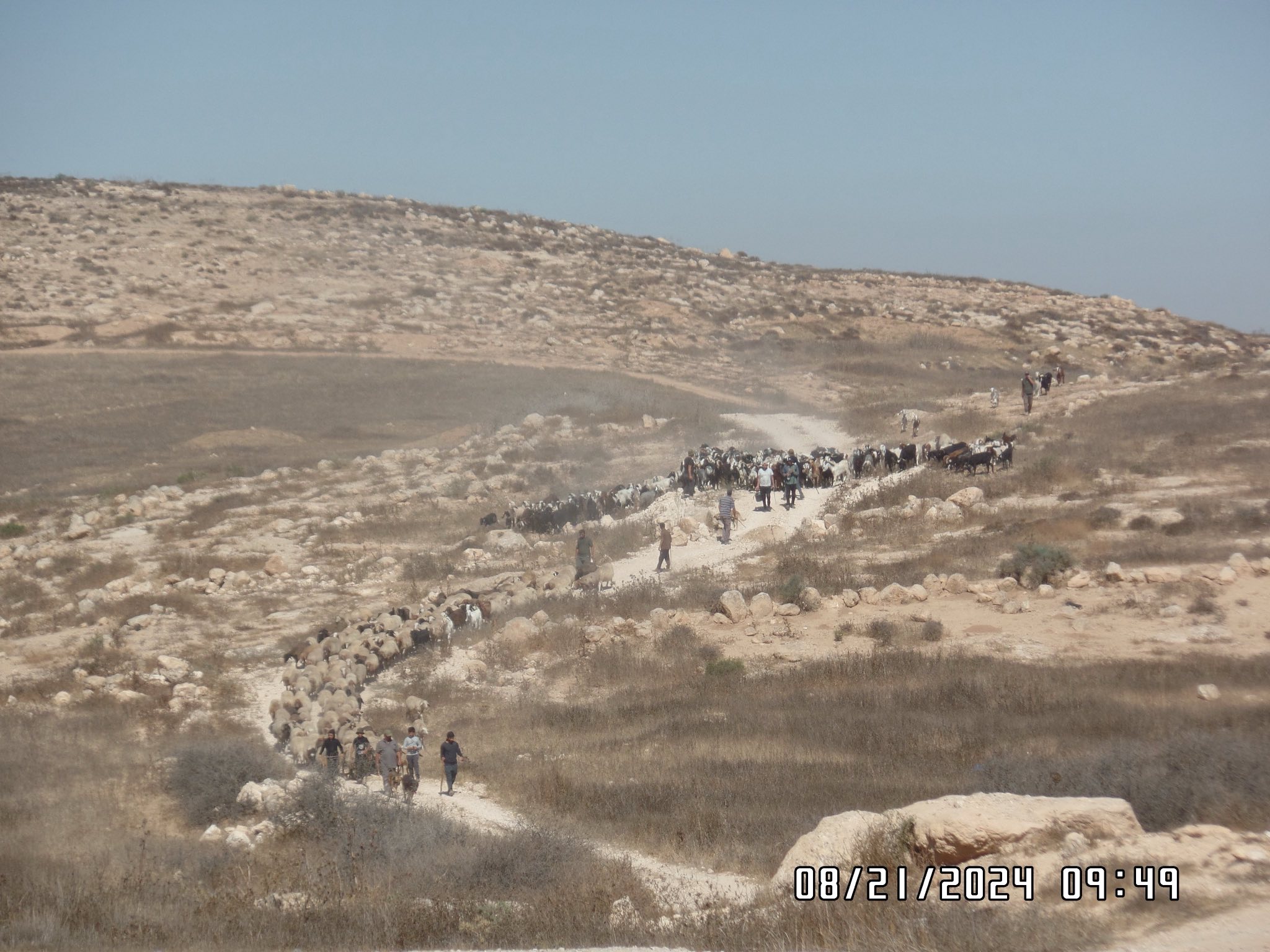 Families returning to Zanuta.