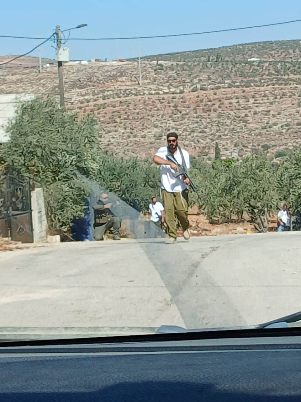 Olive Harvest updates: October 13 and 14