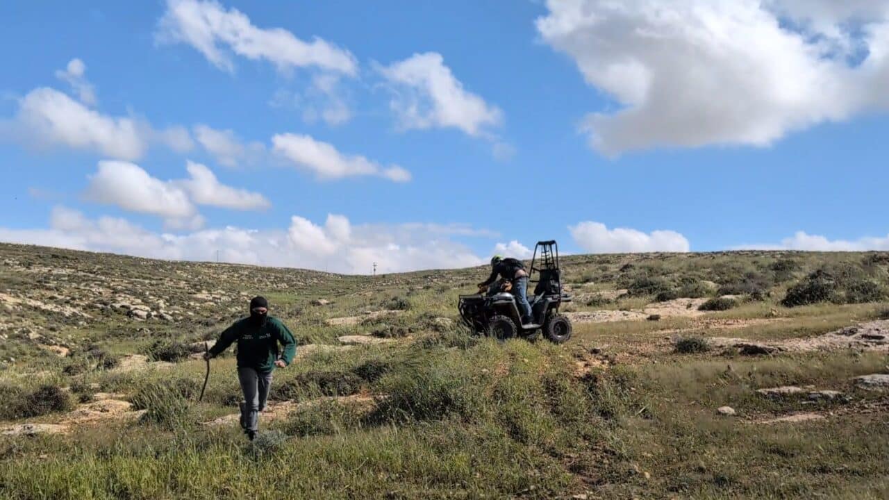 Masafer Yatta: masked settlers attack international activists, threaten Palestinian shepherd, and drive ATVs into flock of sheep in Jawayya
