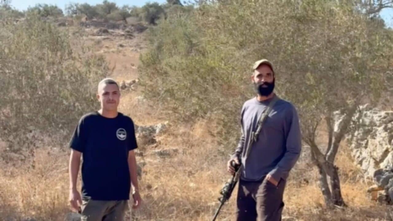 FOR IMMEDIATE RELEASE: 14 international solidarity activists face deportation for accompanying Palestinian olive harvester in al-Lubban al-Gharbi